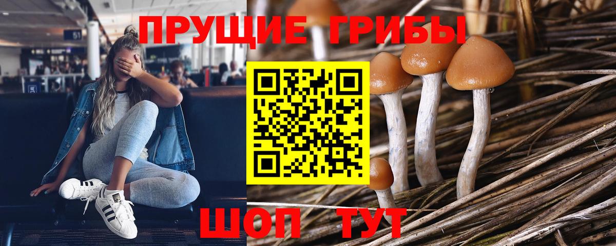 Галлюциногенные грибы ЛСД  Галлюциногенные грибы прущие грибы  Вход с VPN  дарнет шоп  Нерюнгри 