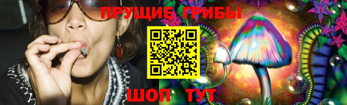 Галлюциногенные грибы Magic Shrooms Нерюнгри