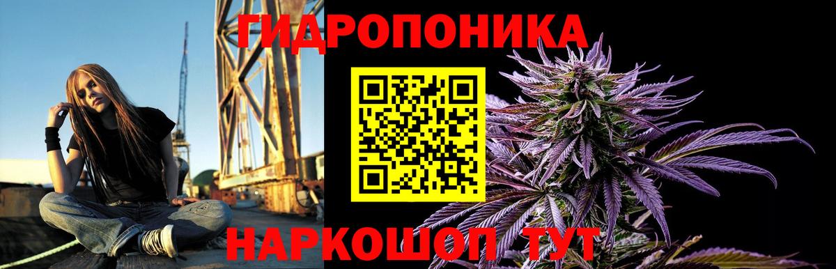 Нерюнгри  Конопля план  МАРИХУАНА марихуана  Вход с VPN 